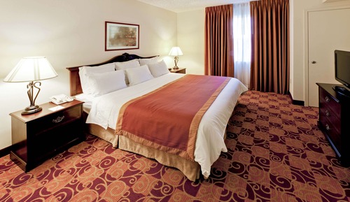 Suite, 1 King Bed, Accessible, Non Smoking (One-Bedroom)