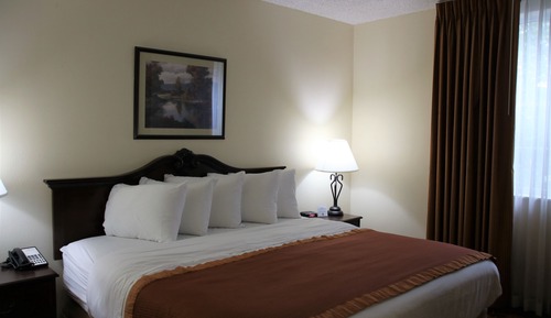Suite, 1 King Bed, Non Smoking (One-Bedroom)