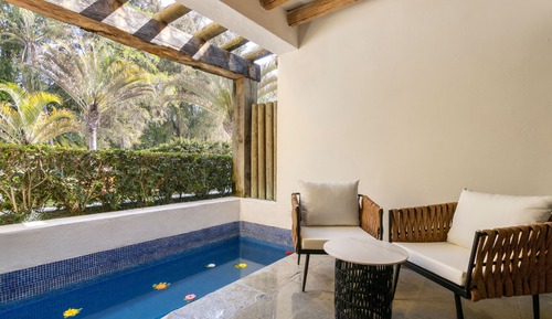 Deluxe King Room with private pool