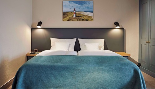 Room, 1 King Bed