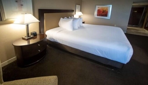 Deluxe Room, 1 King Bed, Non Smoking