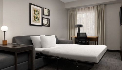 Studio, 1 King Bed with Sofa bed