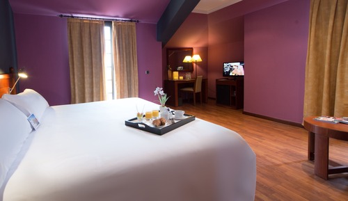 Double Room, 1 Double Bed