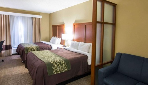 Suite, 1 Queen Bed