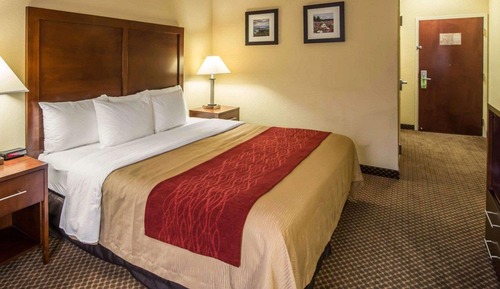 Room, 1 King Bed, Accessible, Non Smoking