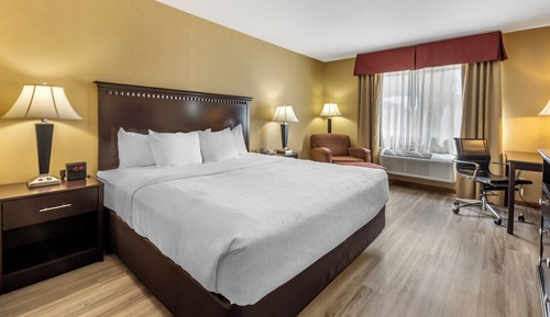 Room, 1 King Bed, Non Smoking, Jetted Tub