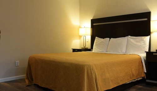 Single Room, 1 King Bed, Accessible