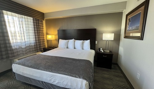 Standard Room, 1 King Bed, Accessible, Non Smoking
