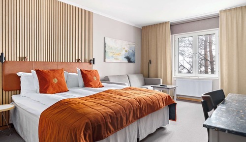 Standard Room, 1 King Bed, Non Smoking (with Sofabed)