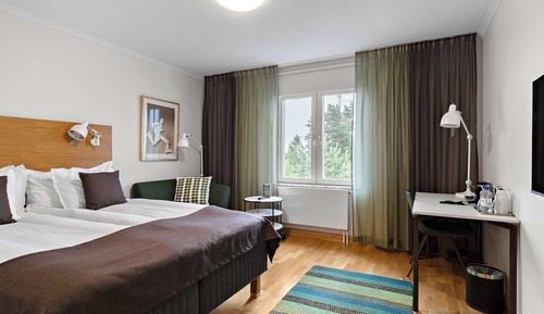 Superior Room, 1 Queen Bed, Non Smoking