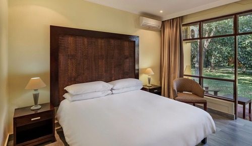 Room, 1 King Bed