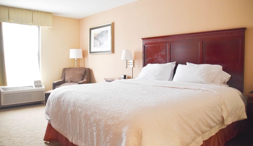 Room, 1 King Bed, Accessible, Non Smoking