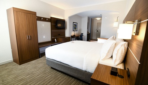 Suite, 1 King Bed