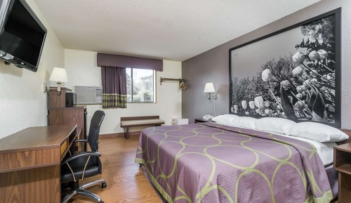 Room, 1 King Bed, Non Smoking
