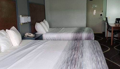 Room, Non Smoking (2 King Beds)