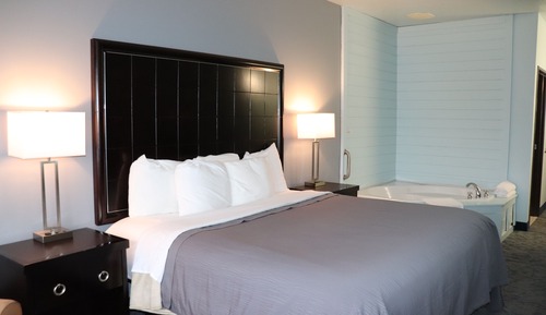 Standard Suite, 1 King Bed (No Pets Allowed)