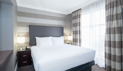 Standard Suite, 1 King Bed with Sofa bed