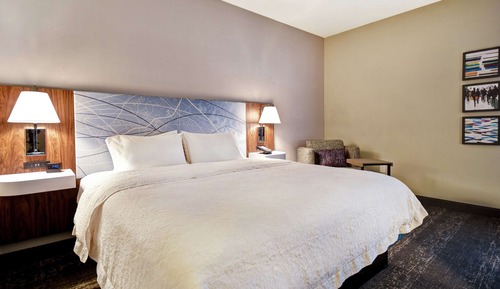 Room, 1 King Bed, Non Smoking