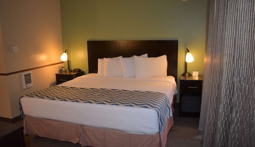 Standard Room, 1 Queen Bed, Accessible, Refrigerator & Microwave