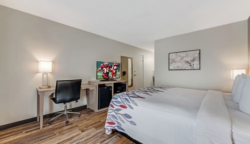 Superior Room, 1 King Bed, Non Smoking