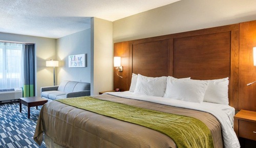 Suite, 1 King Bed with Sofa bed, Non Smoking