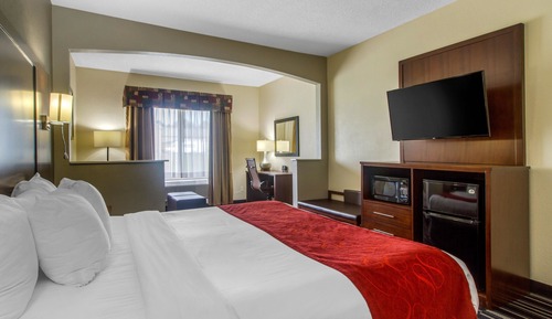 Suite, 1 King Bed with Sofa bed, Accessible, Non Smoking
