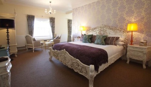 Signature Ivy Superior Rooms