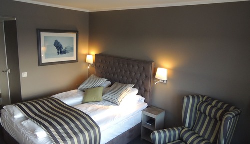Double Room, 1 Queen Bed
