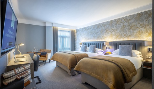 Deluxe Double or Twin Room