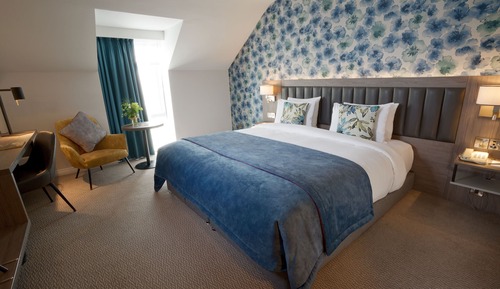 Classic Single Room, 1 Queen Bed