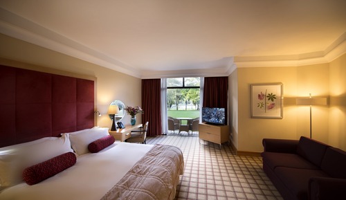 Luxury Paraplegic Room