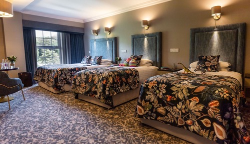 Family Room, Multiple Beds