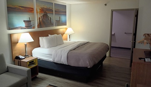 Room, 1 King Bed, Accessible, Non Smoking (Roll-In Shower)