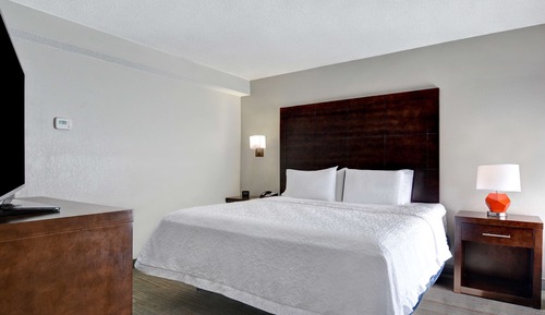 Suite, 1 King Bed, Non Smoking