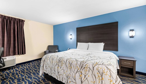 Room, 1 King Bed, Smoking