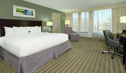 Studio Suite, 1 King Bed