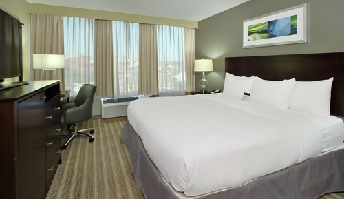Suite, 1 King Bed