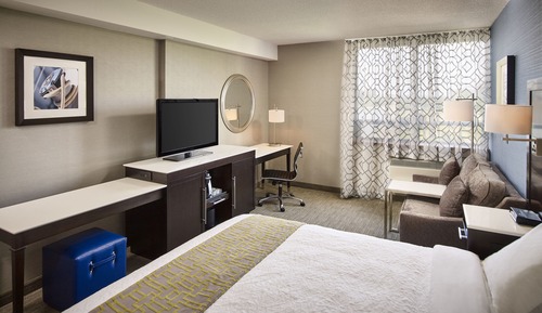 Standard Room, 1 King Bed (City View)