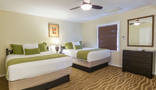 Studio, 2 Queen Beds