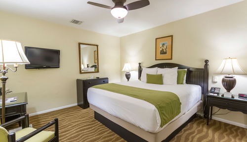 Room, 1 King Bed, Poolside