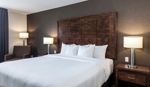 Standard King Non Smoking Superior Room