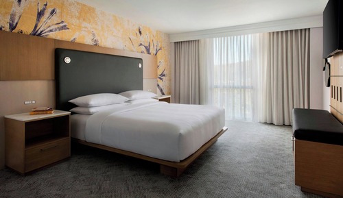 Room, 1 King Bed