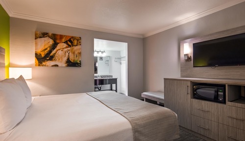 Standard Studio, 1 King Bed, Non Smoking, Refrigerator & Microwave