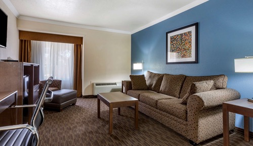Suite, 1 King Bed with Sofa bed, Non Smoking, Kitchen (with Sofabed)