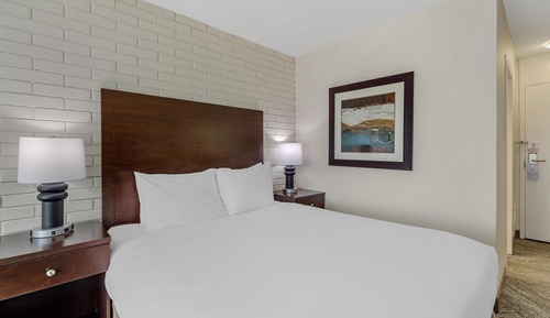 Standard Room, 1 Queen Bed, Non Smoking, Refrigerator