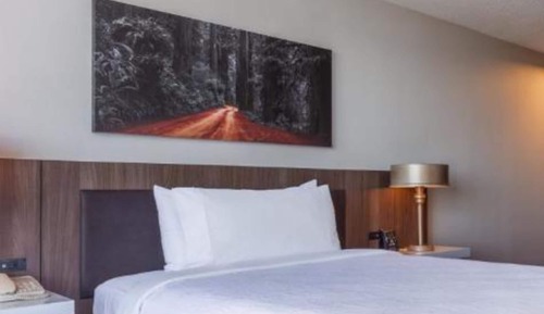 Junior Suite, 1 King Bed