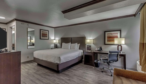 Room, 1 King Bed, Accessible, Non Smoking