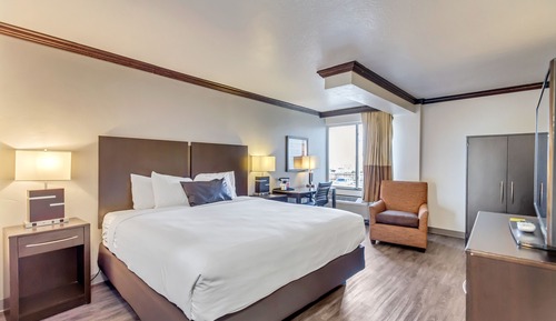 Room, 1 King Bed, Non Smoking