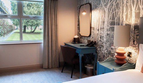 Superior Accessible Double Room