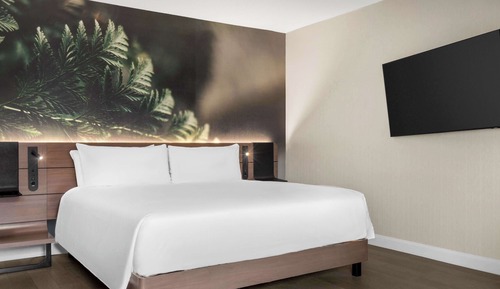 Junior Suite (Executive)